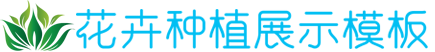 KOK综合官方,KOK体育顶尖电竞平台